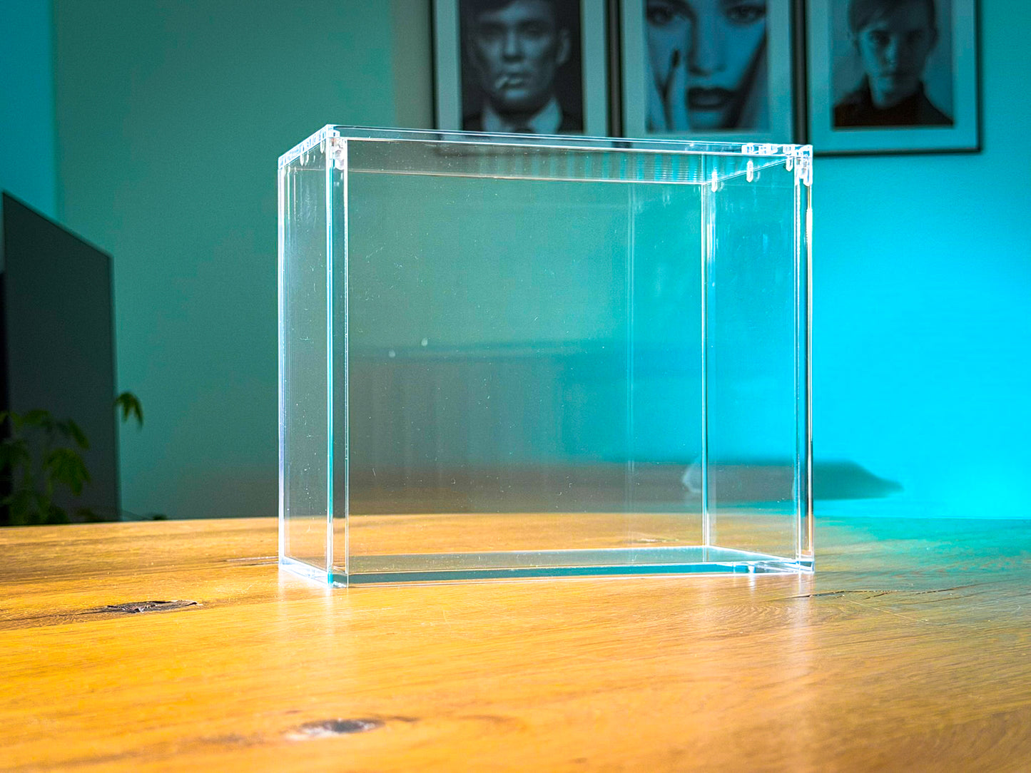 Pokémon Elite Trainer Box Acryl Display Case