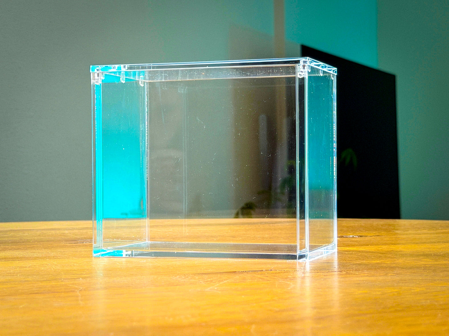 Pokémon Elite Trainer Box Acryl Display Case